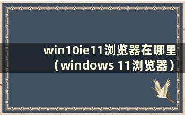 win10ie11浏览器在哪里（windows 11浏览器）